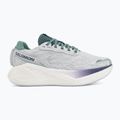 Кросівки для бігу жіночі Salomon Aero Glide 4 ancient water/white 2