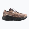 Кросівки для бігу чоловічі Salomon Aero Glide 4 GRVL burro/black 2