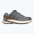 Кросівки для бігу чоловічі Salomon XA Pro 3D V9 GTX Lifelong sedona sage/coyote brown 2