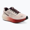 Кросівки для бігу жіночі Salomon Aero Blaze 4 vanilla ice/huckleberry