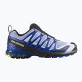 Кросівки для бігу чоловічі Salomon XA Pro 3D V9 Icon black/brunnera blue