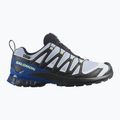 Кросівки для бігу чоловічі Salomon XA Pro 3D V9 GTX Icon black/brunnera blue