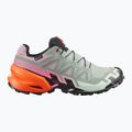 Кросівки для бігу жіночі Salomon Speedcross 6 GTX Icon black/green milieu