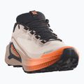 Кросівки для бігу жіночі Salomon Genesis 2 GTX rainy day/desert tan