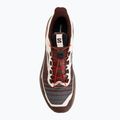 Кросівки для бігу чоловічі Salomon Genesis 2 vanilla ice/iron 5