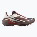 Кросівки для бігу чоловічі Salomon Genesis 2 vanilla ice/iron