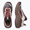 Кросівки для бігу чоловічі Salomon Genesis 2 vanilla ice/iron 4
