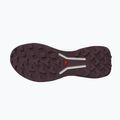 Кросівки для бігу жіночі Salomon Genesis 2 vanilla ice/huckleberry 4