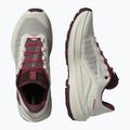 Кросівки для бігу жіночі Salomon Genesis 2 vanilla ice/huckleberry 5