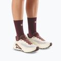 Кросівки для бігу жіночі Salomon Genesis 2 vanilla ice/huckleberry 6