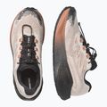 Кросівки для бігу жіночі Salomon Aero Blaze 4 GRVL GTX vanilla ice/black 3