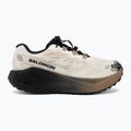 Кросівки для бігу жіночі Salomon Aero Blaze 4 GRVL GTX vanilla ice/black 2