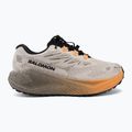 Кросівки для бігу жіночі Salomon Aero Blaze 4 GRVL GTX rainy day/black 2