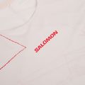 Футболка для бігу чоловіча Salomon S\Lab Speed Tee SS lilac ash 3