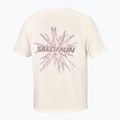 Футболка для бігу чоловіча Salomon Shakeout Core GFX SS Tee whisper white/pink frosting 6