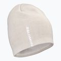 Шапка зимова Salomon Graphic silver cloud