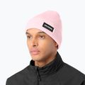 Шапка зимова Salomon Classic icy pink 2