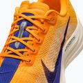 Кросівки для бігу чоловічі Nike Pegasus Plus laser orange/alabaster/sail/indigo burst 9