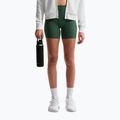 Шорти жіночі Nike Zenvy High Waisted Biker 5" fir/white