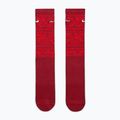 Шкарпетки Nike Everyday Plus Cushioned Crew team crimson/metallic silver 2