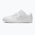 Кросівки чоловічі Nike Jordan Access Court Low white/pure platinum 2