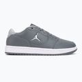 Взуття чоловіче  Jordan Access Court Low smoke grey/white/light smoke grey 2