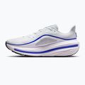 Кросівки для бігу чоловічі Nike Winflo 12 off white/white/wolf grey/black 2