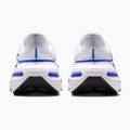 Кросівки для бігу чоловічі Nike Winflo 12 off white/white/wolf grey/black 6
