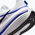Кросівки для бігу чоловічі Nike Winflo 12 off white/white/wolf grey/black 8