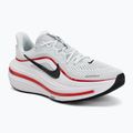 Кросівки для бігу чоловічі Nike Winflo 12 off white/white/wolf grey/black