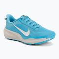 Кросівки для бігу чоловічі Nike ACG Pegasus Trail balightic blue/light orewood brown/summit white