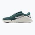Кросівки для тренувань чоловічі Nike Flex Train mineral slate/spruce aura/white 2