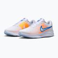 Кросівки для бігу чоловічі Nike Run Defy white/topaz gold/blue crystal 3