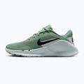 Кросівки для тренувань жіночі Nike Flex Train steam/light silver/barely green/black 2