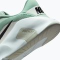 Кросівки для тренувань жіночі Nike Flex Train steam/light silver/barely green/black 8