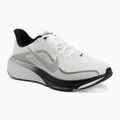 Кросівки для бігу чоловічі Nike Pegasus 42 summit white/metallic silver-photon dust