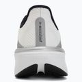 Кросівки для бігу чоловічі Nike Pegasus 42 summit white/metallic silver-photon dust 6