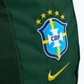 Рюкзак Nike Academy Brazil 30 l pro green 4