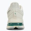 Кросівки для бігу жіночі Nike Pegasus Premium sea glass/malachite/metallic silver 6