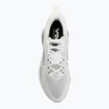 Кросівки для бігу чоловічі Nike Vomero 18 summit white/metallic silver-black 5