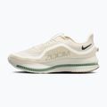 Кросівки для бігу чоловічі Nike Pegasus Premium Pale ivory/jade horizon/black spruce 2