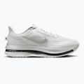 Кросівки для бігу чоловічі Nike Pegasus Premium photon dust/metallic Silver/black