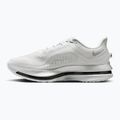 Кросівки для бігу чоловічі Nike Pegasus Premium photon dust/metallic Silver/black 2