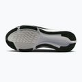 Кросівки для бігу чоловічі Nike Pegasus 42 summit white/metallic silver-photon dust 2