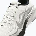 Кросівки для бігу чоловічі Nike Pegasus 42 summit white/metallic silver-photon dust 3