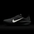 Кросівки для бігу чоловічі Nike Pegasus 42 summit white/metallic silver-photon dust 5