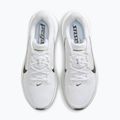 Кросівки для бігу чоловічі Nike Pegasus 42 white/photon dust/black 5