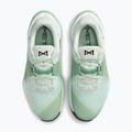 Кросівки для тренувань жіночі Nike Metcon 10 barely green/steam/light silver/black 5