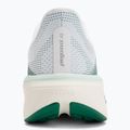 Кросівки для бігу жіночі Nike Pegasus 42 white/malachite/metallic silver 6