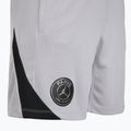 Шорти футбольні чоловічі Nike Paris Saint-Germain Strike SE atmosphere grey/black/black 9